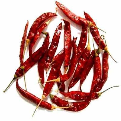 long-red-chilli-500×500-1-1.jpg